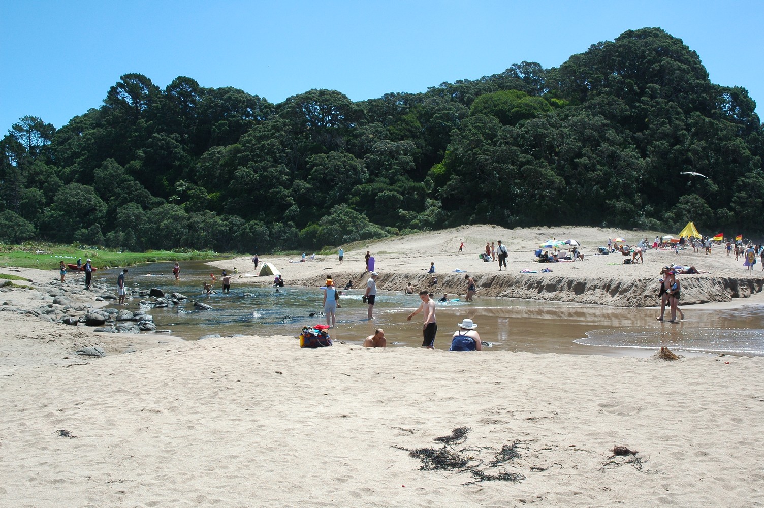 419   05 02   Coromandel   Hot Springs
